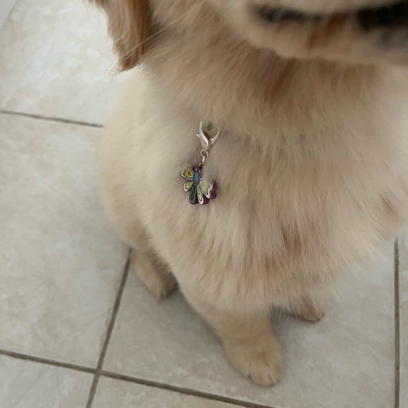🦋Pet collar charm - Picture 6 of 8